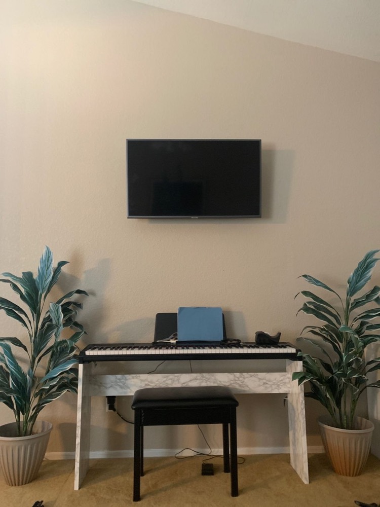 TV mounted above a keyboard between two plants